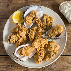Fried Oysters